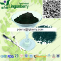 Spirulina powder